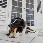 Coffee Wood Chew Dog Toys Sunshine Coast