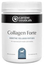 Canine Ceuticals Collagen Forte 280g Dog Supplement Sunshine Coast