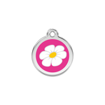 Daisy Pet Tag