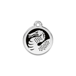 Dragon Pet Tag