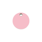 Circle Plastic Pet Tag