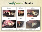 Simply Seaweed Results Dog Supplement Sunshine Coast