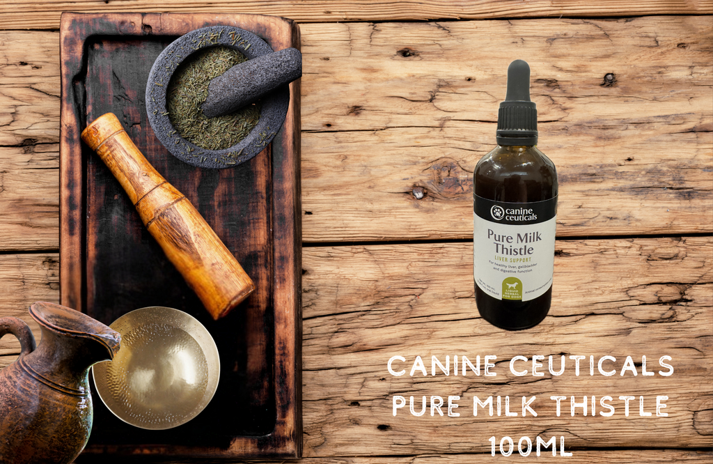 Canine Ceuticals Pure Milk Thistle 100mL