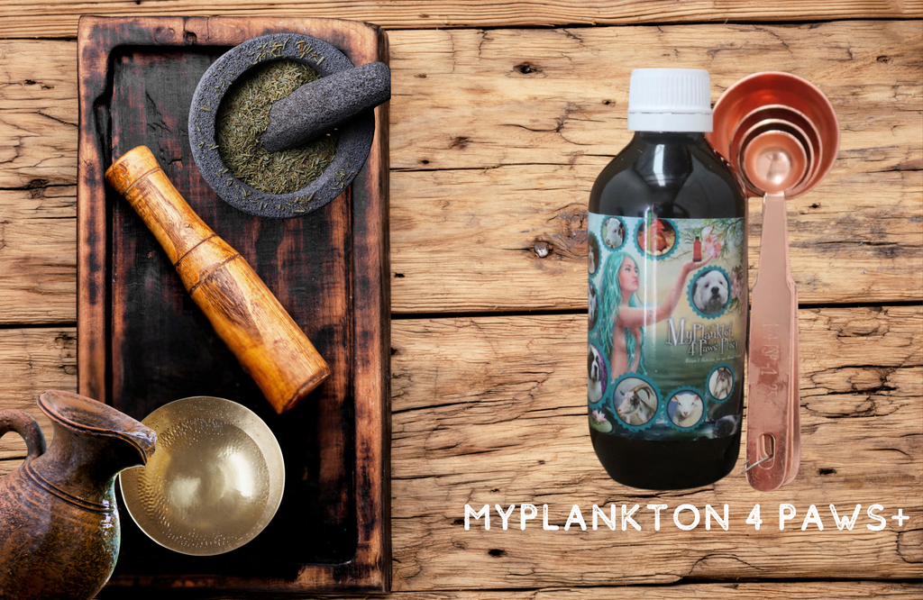 MyPlankton™ 4 Paws Plus+