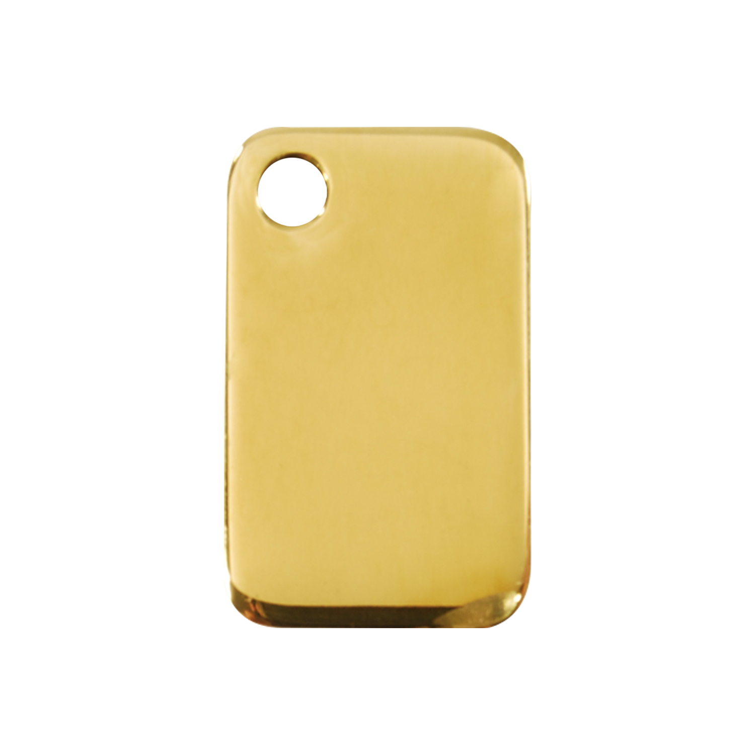 Rectangular Brass Pet Tag