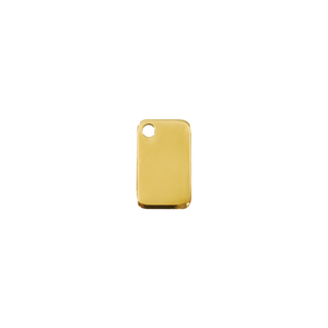 Rectangular Brass Pet Tag