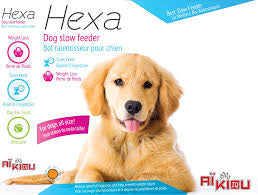 Hexa Slow Feeder Bowl